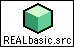 realbasic icon