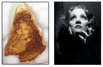 Comparison photo of grilled cheese and marlene dietrich